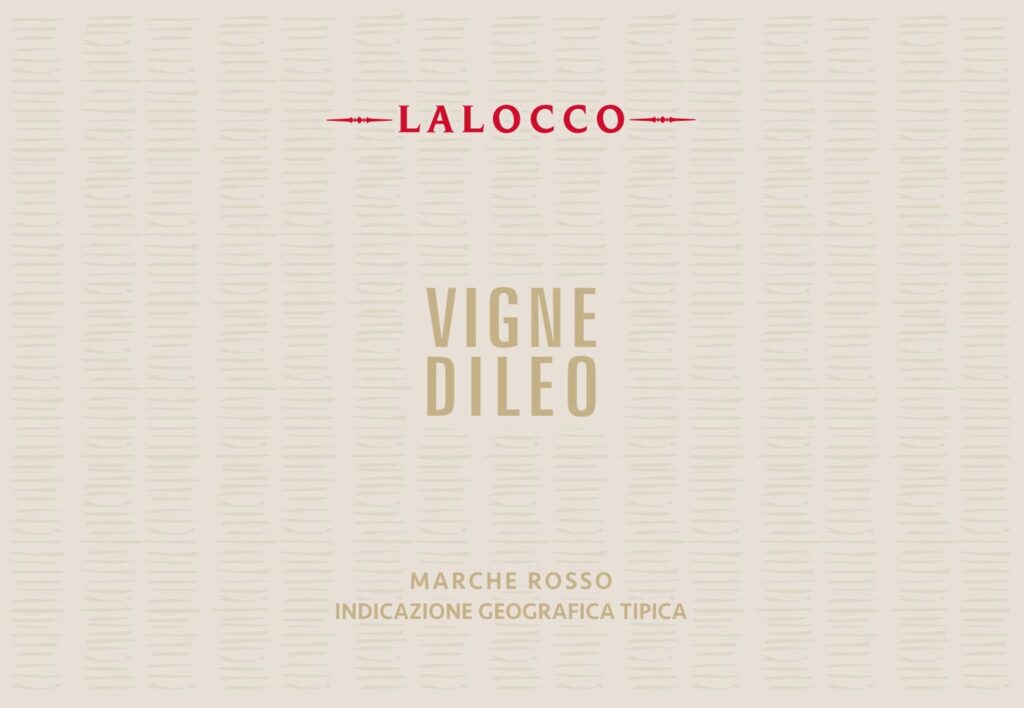 Marche Rosso igt Lalocco da 1,5 L cantina Vignedileo