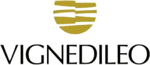 Logo Vignedileo